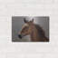 «Horse pensé» par John Silver-1688792101