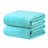 Moyer Extra Absorbent Bath Sheet-114888444