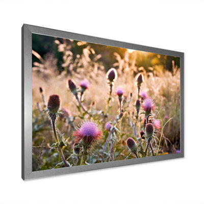 " Purple Green Thistle Whispers Plant III "