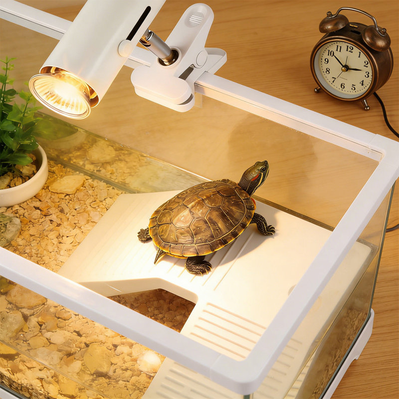 Lampe pour bronzer avec minuterie Reptile, blanc, Blanc