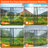 Portable Outdoor Mini Greenhouse 70.86 Inch, Waterproof Uv Protection Pvc Hot House , Stable Iron Frame For Garden Patio Backyard Balcony Plant Growing