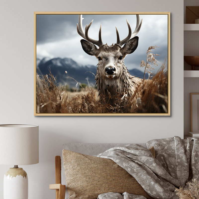 Photographie de cerf monochrome III - animaux, H 34 po x l 44 po x P 1,5 po, Cadre naturel flottant