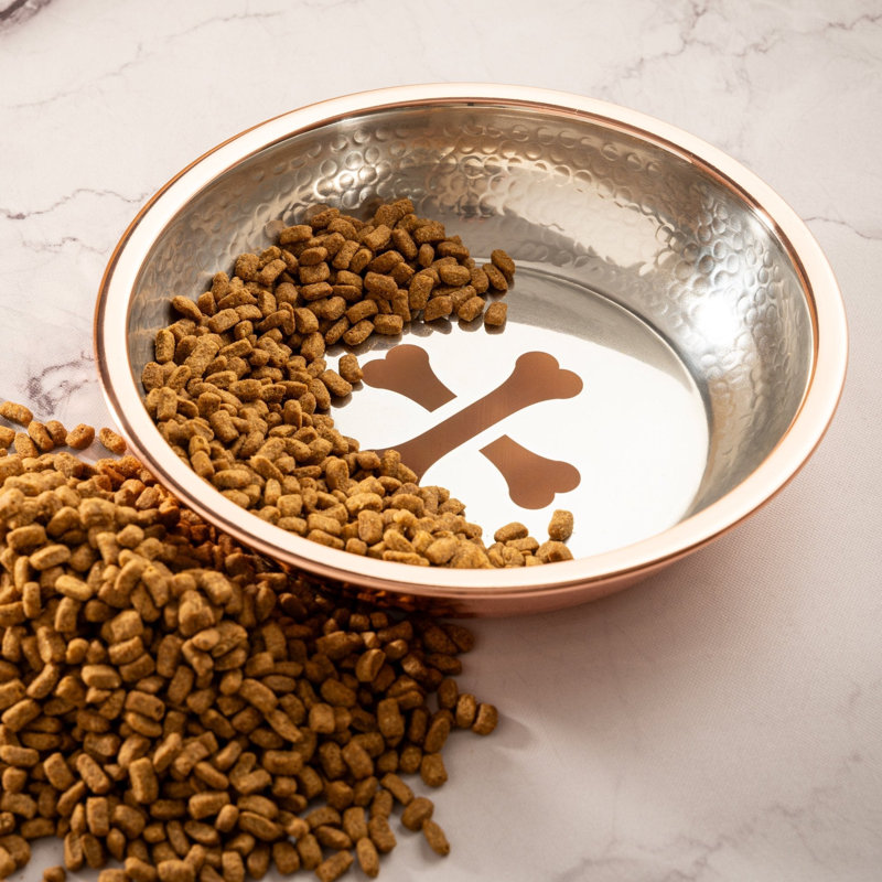 Pet Bowl, Copper/Silver