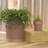 2 - Piece Ribbed Pot Planter Set