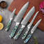 Ensemble de couteaux 11 pièces Senken Knives Damas avec poignée en coquille d'ormeau - Acier japonais 67 couches