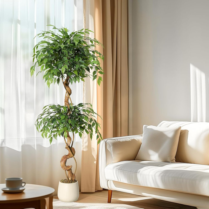 Plant, 152cm H x 20cm W x 20cm D