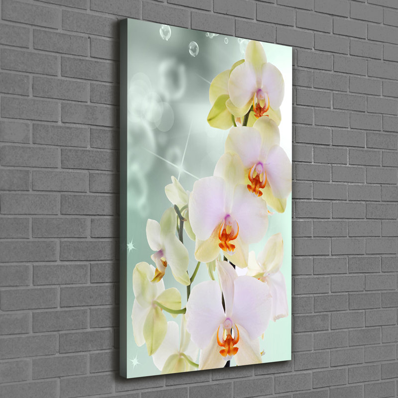 Orchid - Wrapped Canvas Print