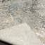 Tapis argenté Serengeti Leopard Melange-70379041