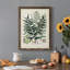 " Collected Ferns VII " Painting Print-356897288-356897294