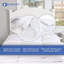 Garnissage de couette en duvet d'oie blanche Serenity 700-95897461
