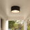 Logan Novelty Outdoor Flush Mount