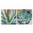 Brilliant Succulents I/II by Norman Wyatt Jr. - Canvas Print Set-1273858678-1277238983-1281823697