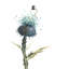 Natural I Print by Beverly Fuller-26773653-26773656