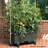Lionnel Planter Box-1977765777