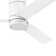 Winters 52'' Ceiling Fan with LED Lights
