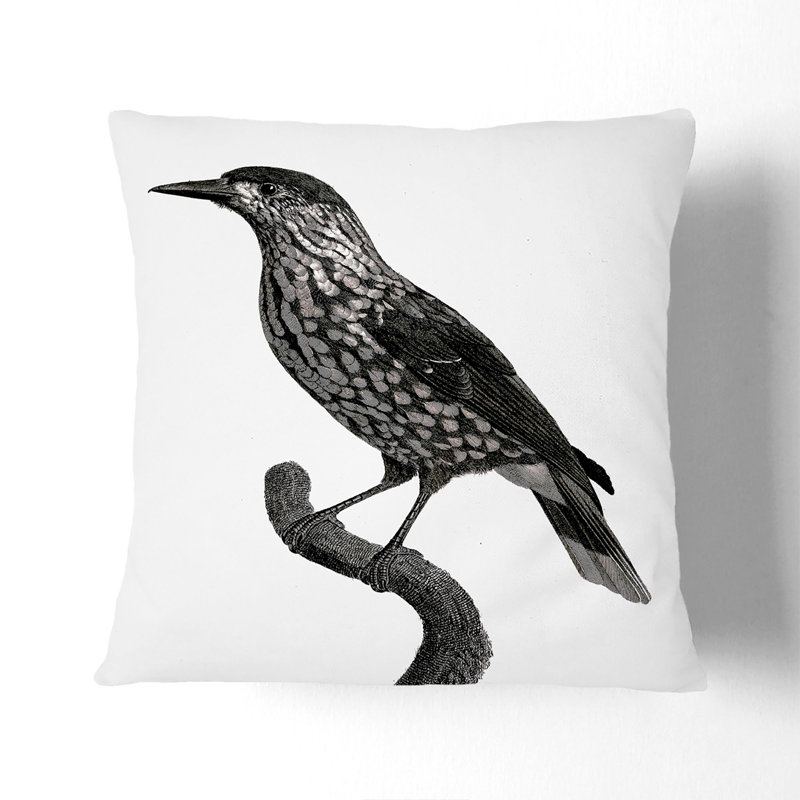Square Cushion, Black, 55cm H x 55cm W x 20cm D