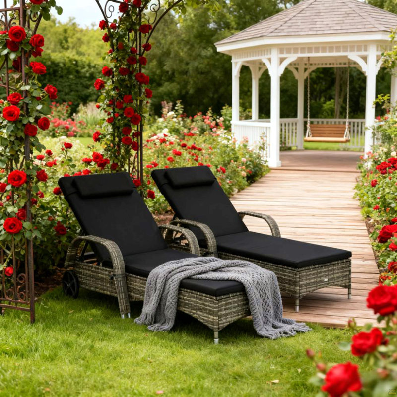 Chaises roulantes d'extérieur, 2 chaises longues inclinables