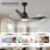 42" Smart Ceiling Fan With Lights Remote