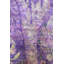 Tapis unique en soie 11 pi 5 po x 15 pi 7 po Silk Treasures
