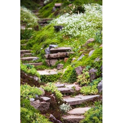 Stony Stairs In The Green Garden - Wrapped Canvas Print