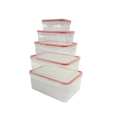 Dammien 83oz. Food Storage Container