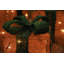 Christmas Decorative Accent
