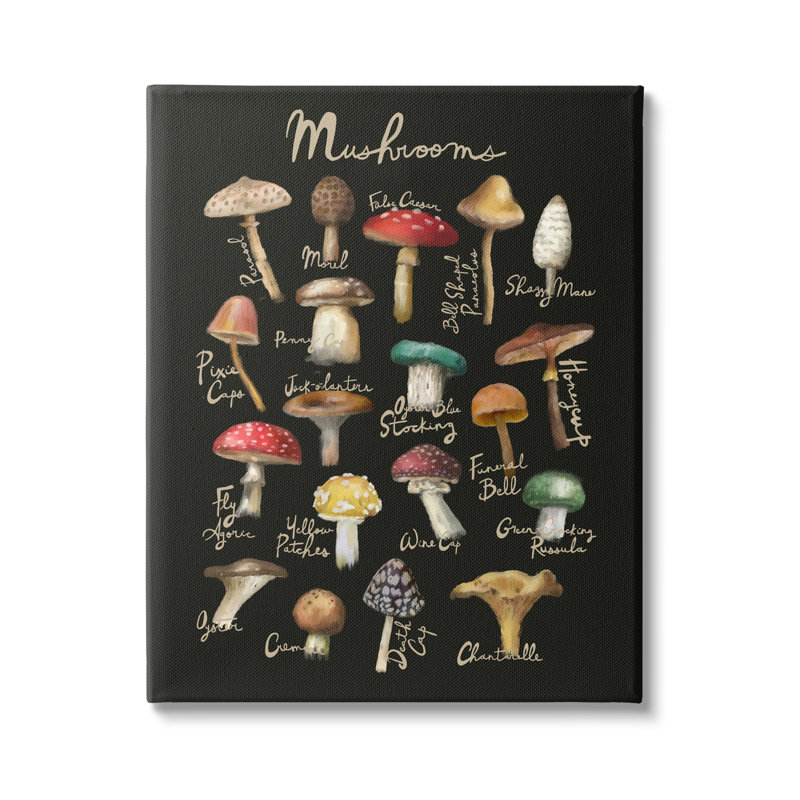 «Varied Mushroom Kitchen», impression sur toile, H 20 po x l 16 po x P 1,5 po