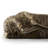 Botswana Animal Print Leopard Faux Fur 60x80'' Throw Blanket-114707632