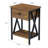 Demmer End Table with Storage-1488662409