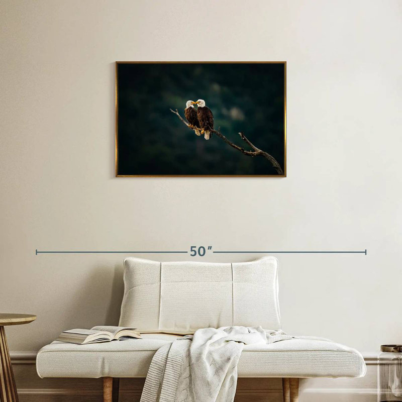 California Bald Eagles, Cadre flottant doré, 31 po x 21 po