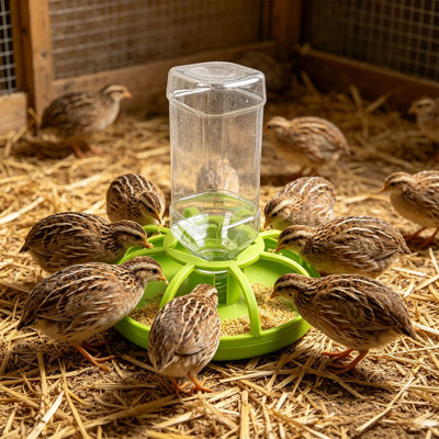 Distributeur d'eau automatique pour poulets multifonctionnel, vert