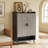 Modern Shoe Storage Cabinet-1224254105