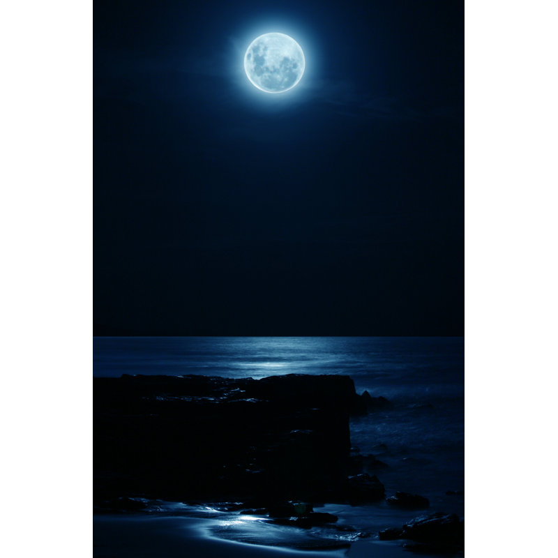 Full Moon - Photographie sur toile tendue, H 30 po x l 20 po