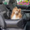 Lit pour voiture Pupprotector