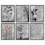 Abstrait, art floral botanique gris rustique, affiche encadrée, art mural-104788235-104788239