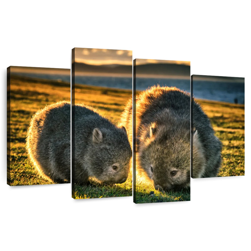 Brampt Wombats In The Field, 42" H x 68" W