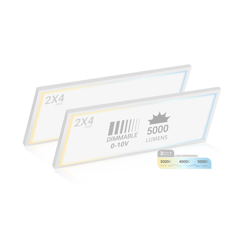 Dimmable Rectangle Flush Mount