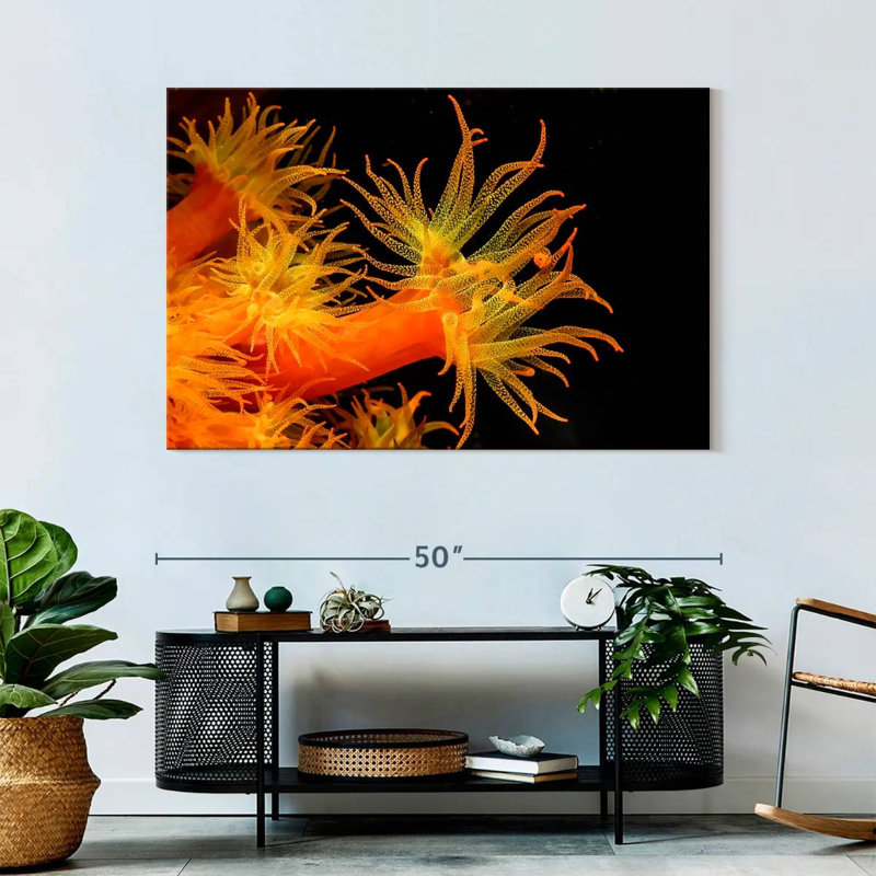 Brampt Sun Polyps, 32" H x 48" W