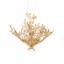 Huckleberry 8 - Light Chandelier