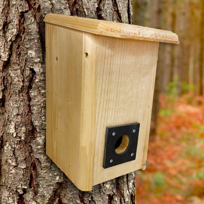 Shardell Small Winter Roost
