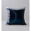 Housse de coussin décorative carrée à la mode et insert-1755288725