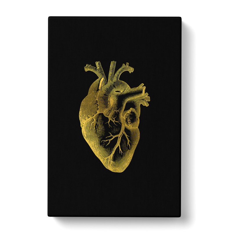 Black Gold Anatomical Heart - Wrapped Canvas Painting, 60cm H x 40cm W x 3cm D