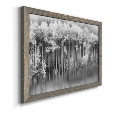 Dreamy Aspen - Photographie sur toile avec cadre photo