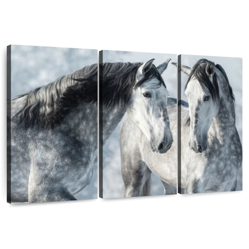 Brampt Two Gray Stallions In Winter, 24" H x 38" W