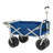 All Terrain Beach Wagon with Side Table