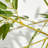 47.2'' Faux Bamboo Tree in Cement Pot