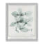Basil Ocimum Basicicum by Albert Koetsier-88318172-88318171