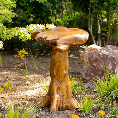 Teck Habini - champignon sauvage - moyen