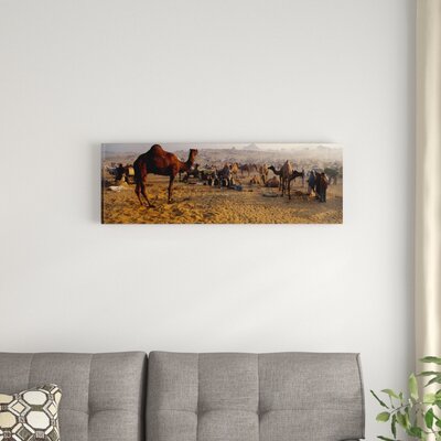 Camels in a Fair, Pushkar Camel Fair, Pushkar, Rajasthan, India' Photographic Print on Canvas -  East Urban Home, EASU3592 34069039