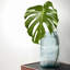 Vase de table en verre recyclé Friedell